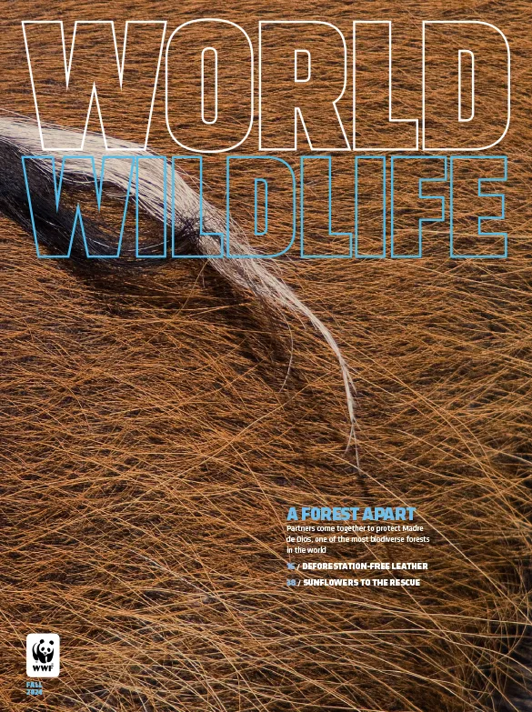 Cover of the Fall 2024 issue of World Wildlife Magazine