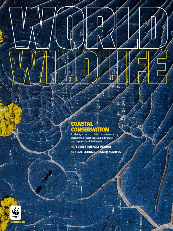Cover of World Wildlife magazine summer 2026