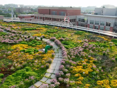 A green rooftop featuring green, yellow, and red plants with a stone walkway and skyline in the background