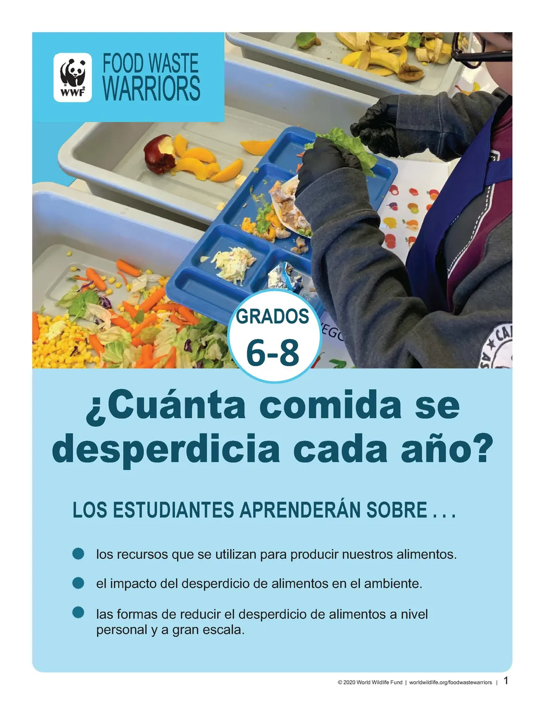 6-8 herramientas de enseñanza