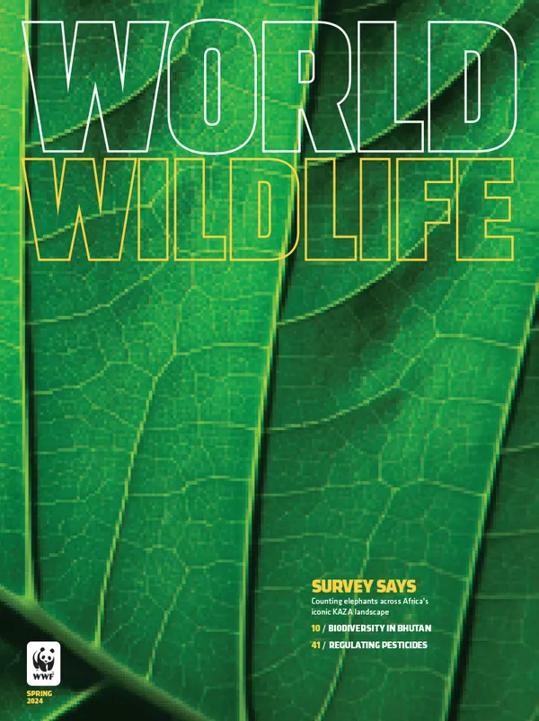 The cover of the Spring 2024 issue of World Wildlife magazine