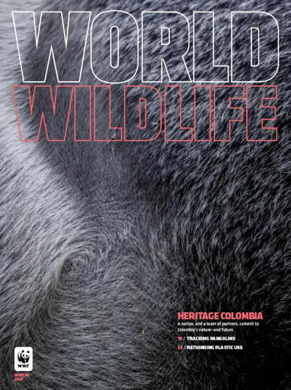 World Wildlife magazine cover, Winter 2025
