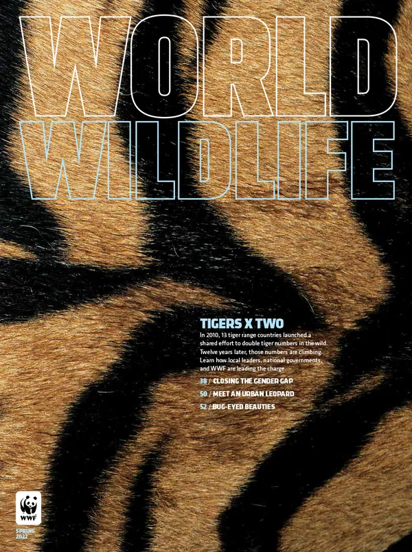 Spring 2022 Cover