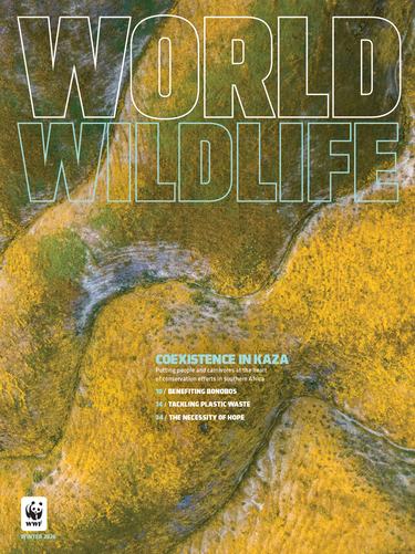 World Wildlife cover winter 2026, aerial photo of California grasslands