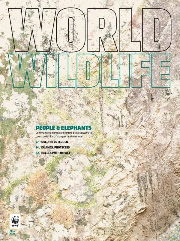 Cover of World Wildlife Fall 2022 Closeup of tree bark