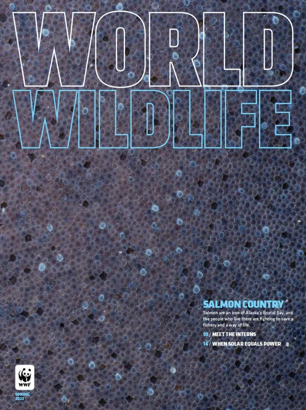 Cover of World Wildlife Spring 2023