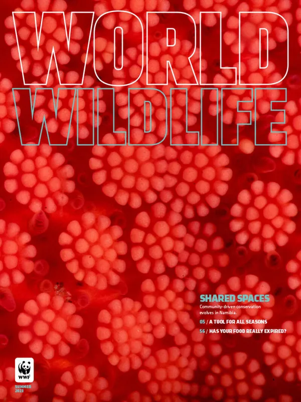 Magazine cover with closeup of starfish