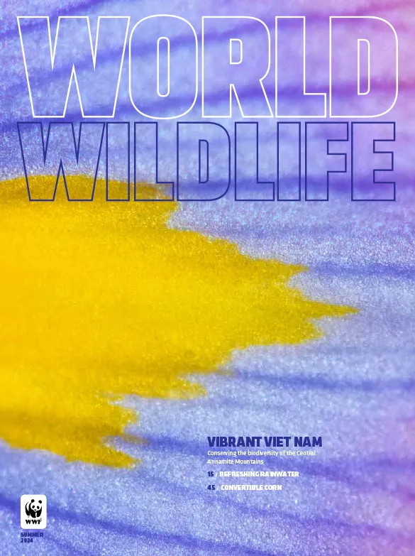 The cover of the Summer 2024 issue of World Wildlife magazine