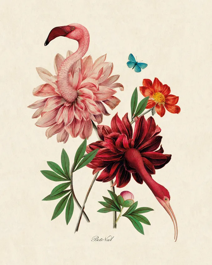 Illustration of flowers as flamingos
