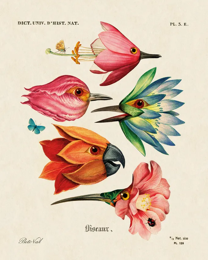 Illustration of flowers as colorful birds