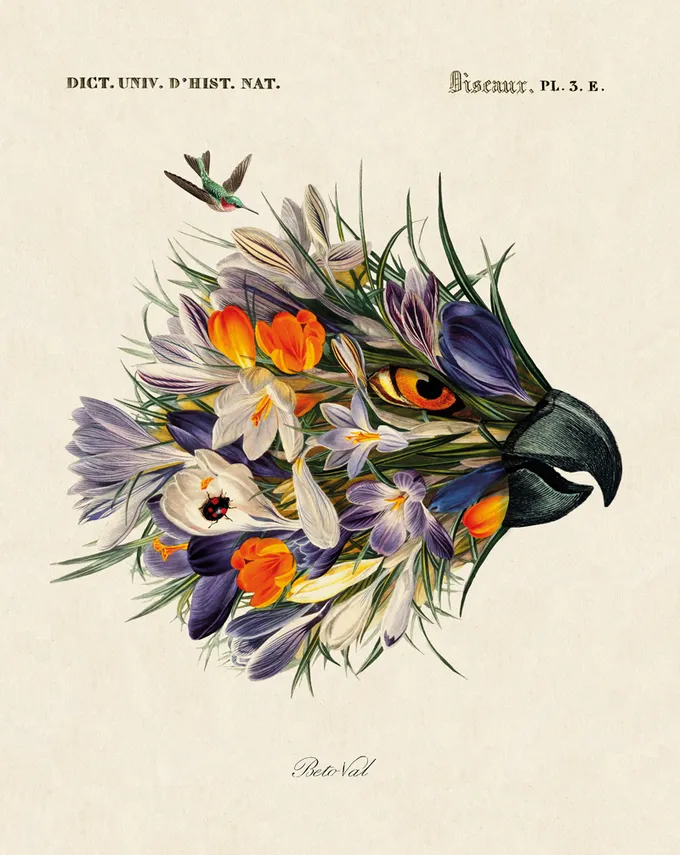 Illustration of flowers and parrot