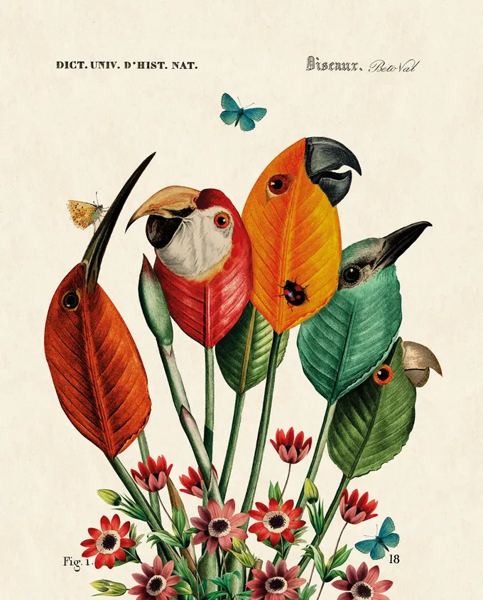 Illustration of plant leaves as parrots