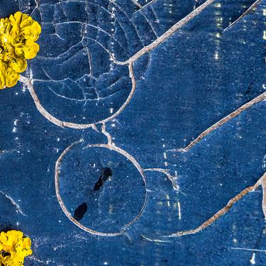 Cracked blue paint texture with yellow lichen