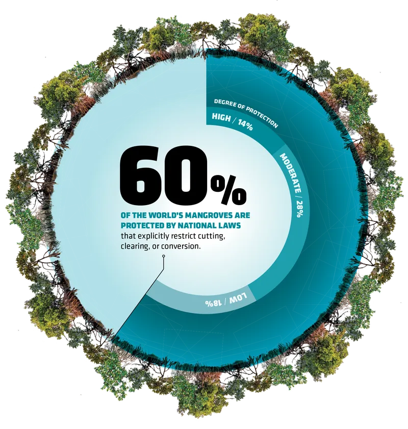 Graphic showing 60% of the world’s mangroves are protected by national laws that explicitly restrict cutting, clearing, or conversion.