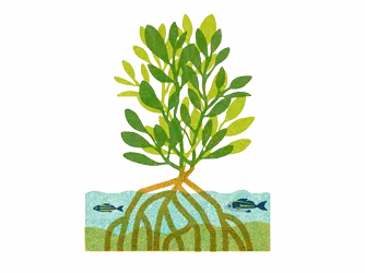 Illustration of mangrove with root system and fish beneath the water