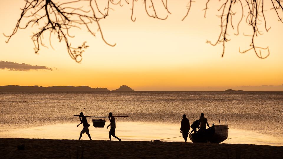 A sunset view of people bringing in the day's catch