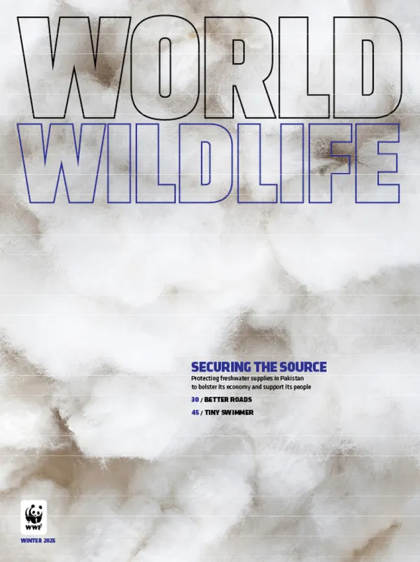 Magazine cover with image of raw cotton