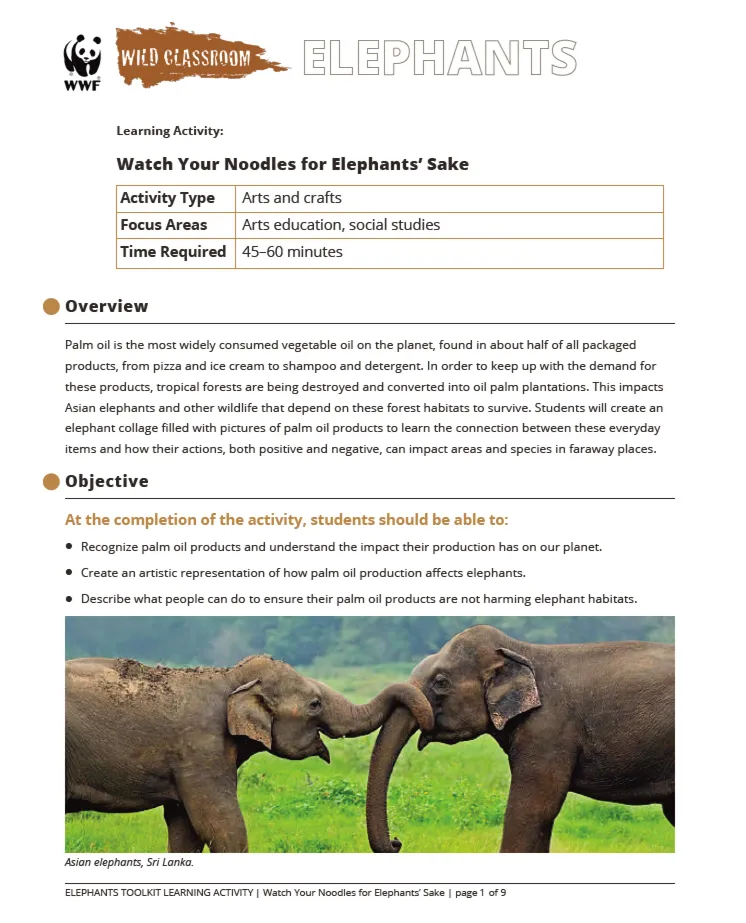 A preview of the Watch Your Noodles for Elephants' Sake learning activity