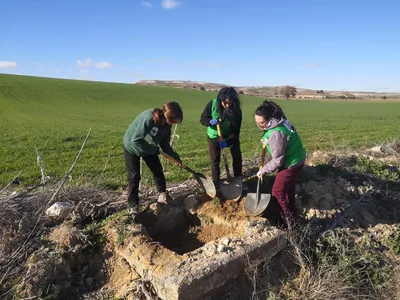 Three people using shovels to fill a hole