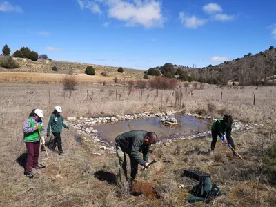 People with tools working to fill and grade area