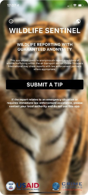 Wildlife Sentinel App Screen