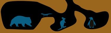 Graphic of wombat tunnels with other animals