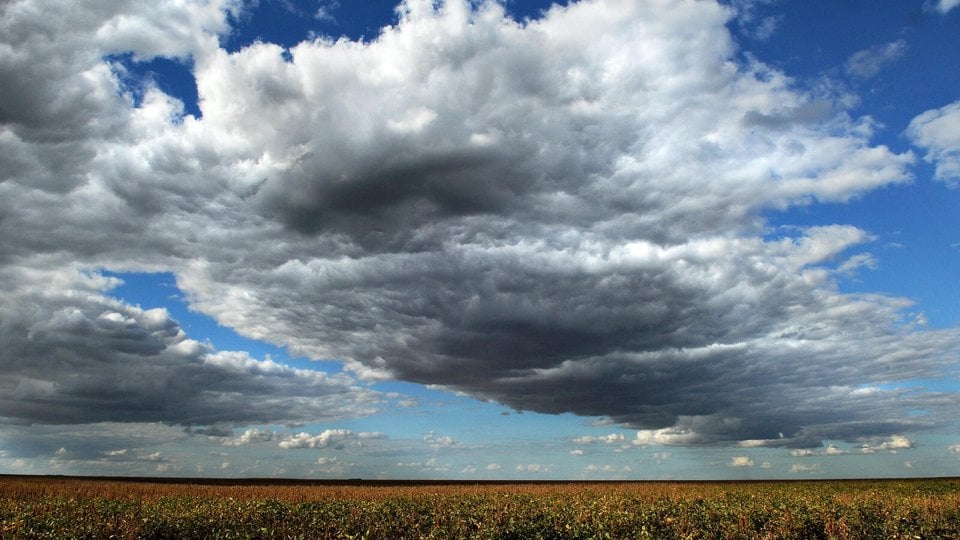 Large soy monoculture and a cloudy sky, in the region of Roda Velha, Bahia, Brazil.