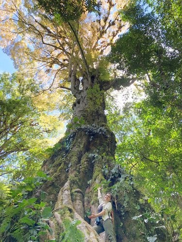 Katie Zdilla poses in front of a very large tree that towers over her