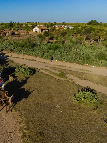 An aerial photo of a small village amidst shrubland. Solar equipment is pulled down a dirt road by oxen.
