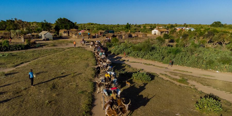 An aerial photo of a small village amidst shrubland. Solar equipment is pulled down a dirt road by oxen.