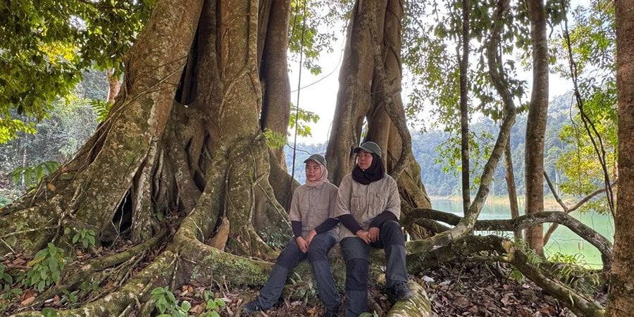 Rangers Mila and Suzana stand by a large tree in the forest