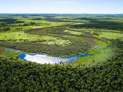 An aerial of the Paraguay river in Bolivia.