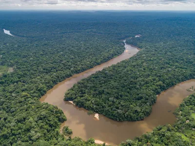Ariel view of Guariba River and amazon rainforest