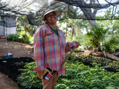 Guadalupe Nuñez is from the group, Coccoloba, and works at a nursery that supplies seedlings used in restoration and reforestation projects in Yucatan, Mexico.