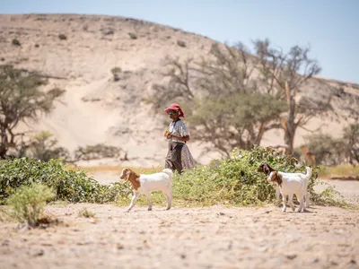 Rebecca Adams a resident of De-Riet in the Torra conservancy looking after her goats in a desert environment