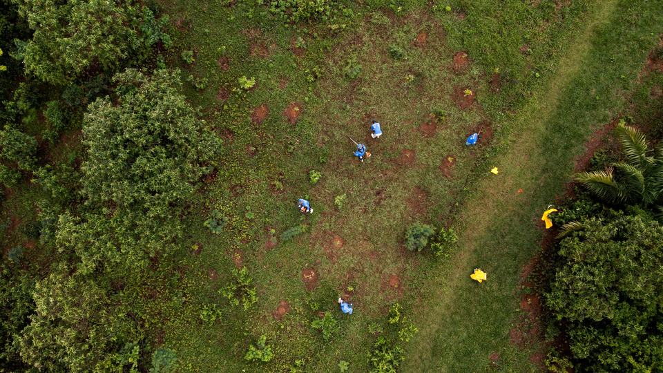 An aerial view of people planting trees in a vegetated area