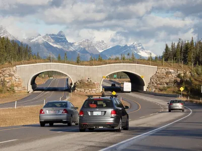 A bridge over a highway with grass and vegetation on top of it