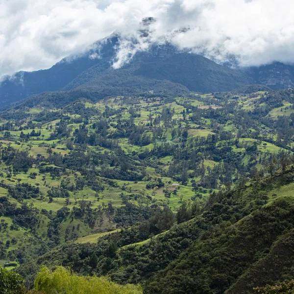 An aerial view of a mountain landscape with a hovering cloud in the PNN Chingaza buffer zone, Cundinamarca, Colombia
