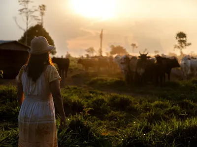 Verónica Cardozo looking at the cattle at sunset in Colibri Farm, Iñapari, Peru