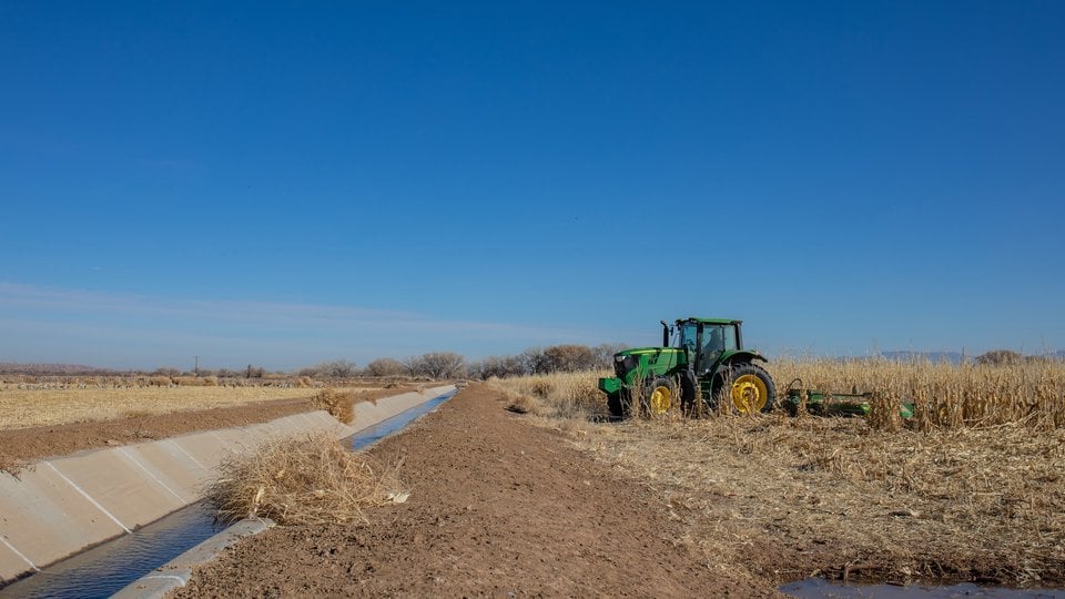 A tractor mows corn amid a large field and blue sky