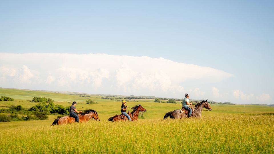 People ride on horseback across prairie