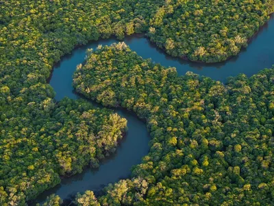 Coastal mangroves in Ampasindava, Madagascar