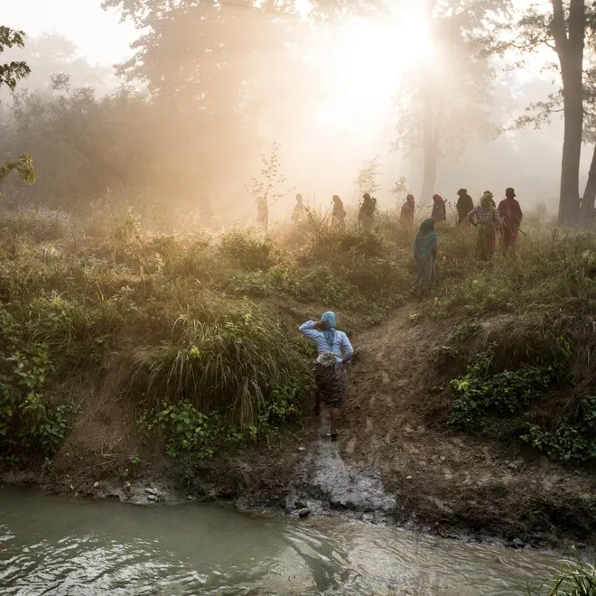 A group of women cross a river in the forest on their way to work in Bardia, Nepal