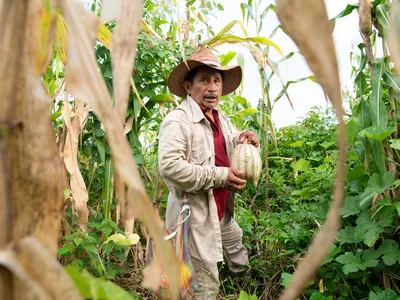 Melquiades Cox Ojeda holding a pumpkin in his field