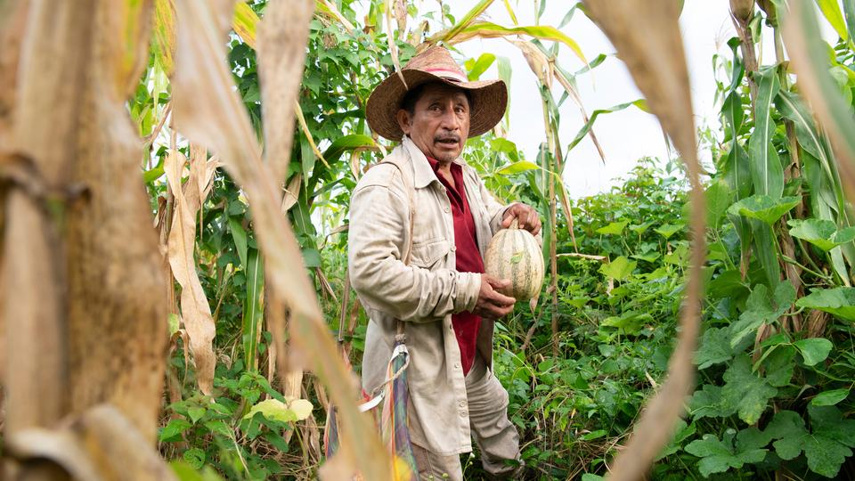 Melquiades Cox Ojeda holding a pumpkin in his field