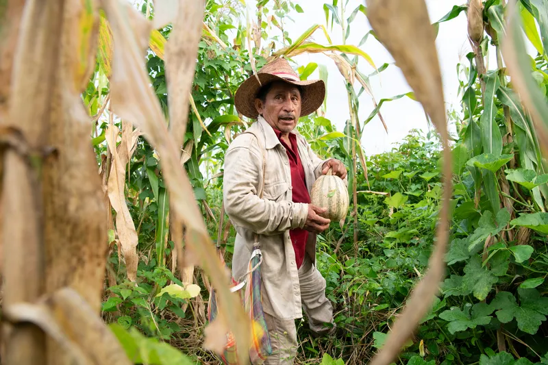Melquiades Cox Ojeda holding a pumpkin in his field