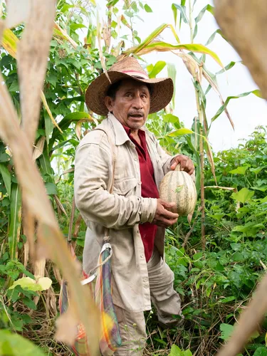 Melquiades Cox Ojeda holding a pumpkin in his field