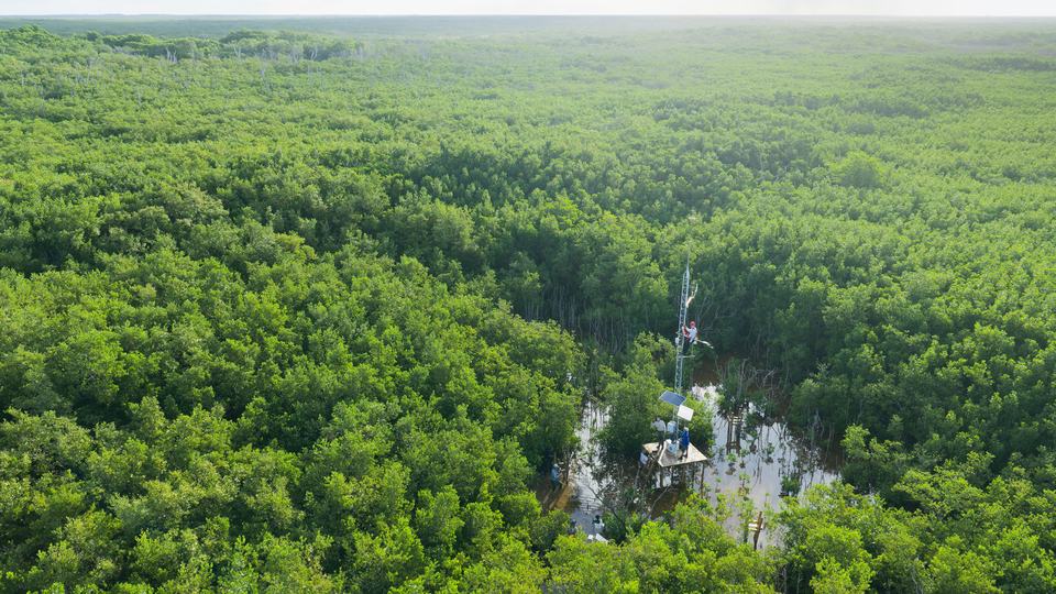 Aerial photo of workers on a white tower on a platform surrounded by trees