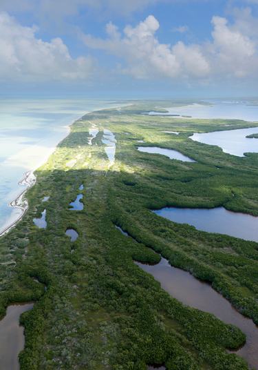 Aerial photo of the coast of the Yucatan