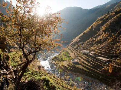 Terracing at low lying areas of subsistence agriculture. Bahrain Swat, Khyber Pakhtunkhwa, Pakistan